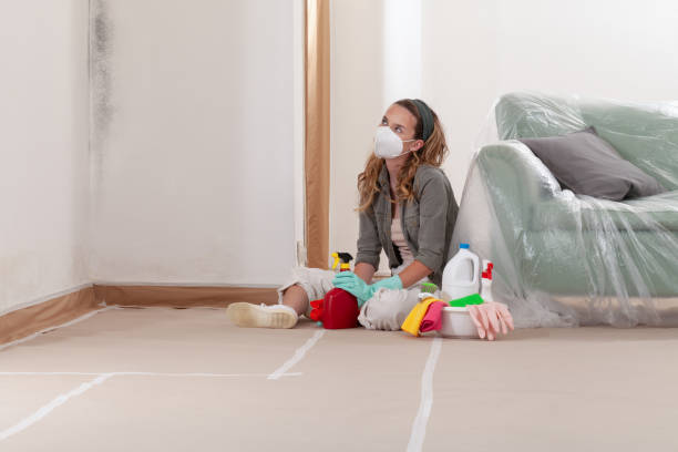 Reliable Mold Remediation contractor in McHenry, IL by WQB Mold Removal